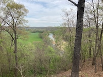 From the back porch!