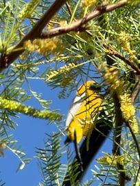 Bird watching was epic!