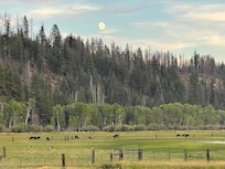 The view from our cabin was beautiful and peaceful.