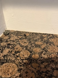 The counter in the back had dead fly and dust