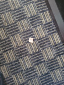 Used bandaid found in room