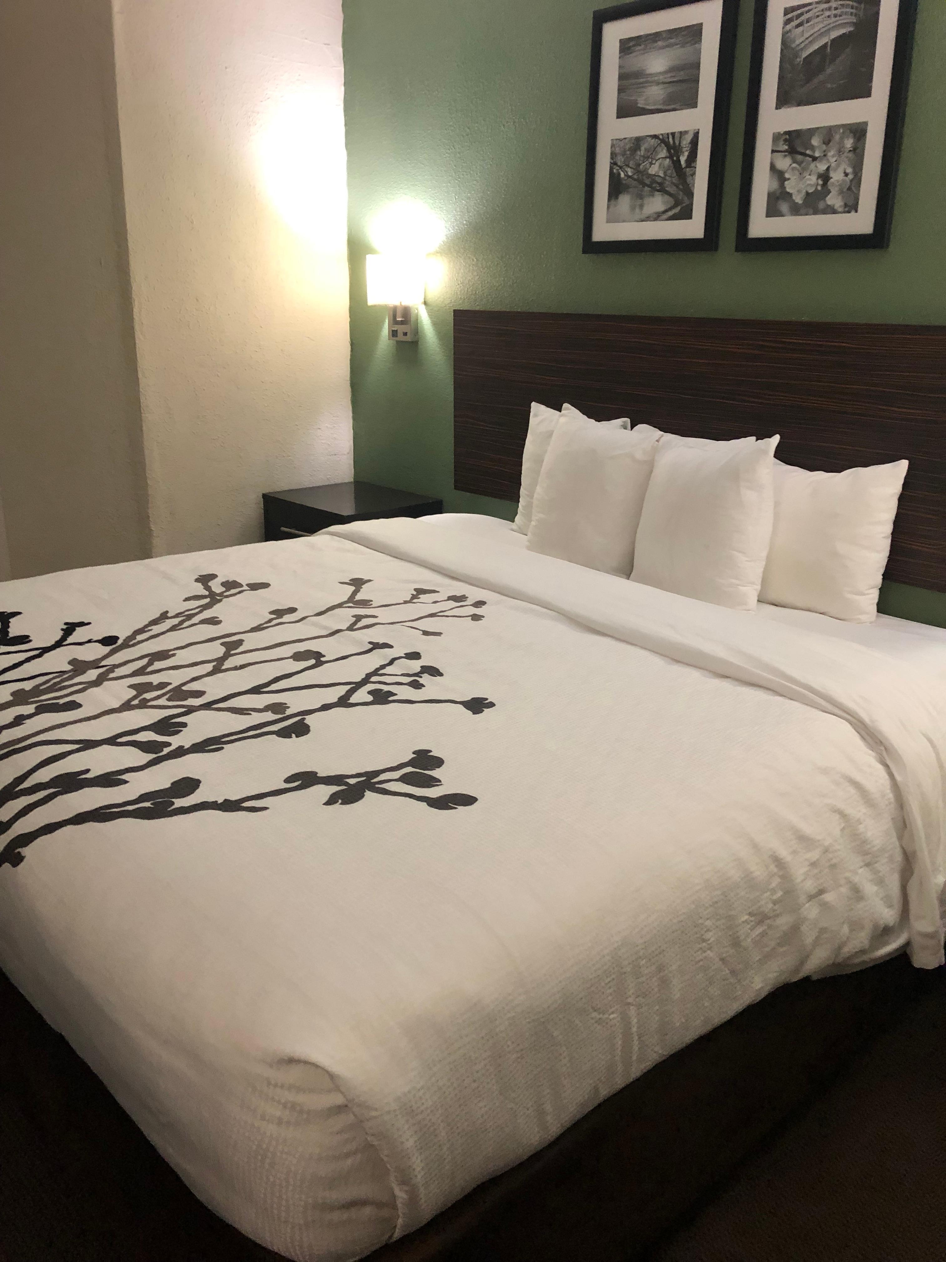 Bed was clean but lumpy 