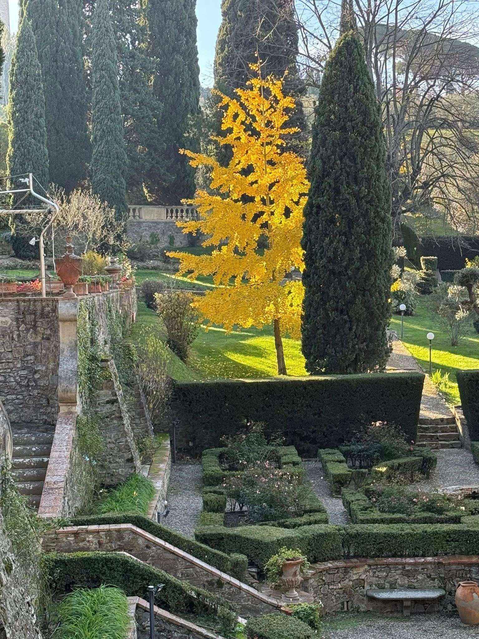 Outside garden in the winter, still lovely!