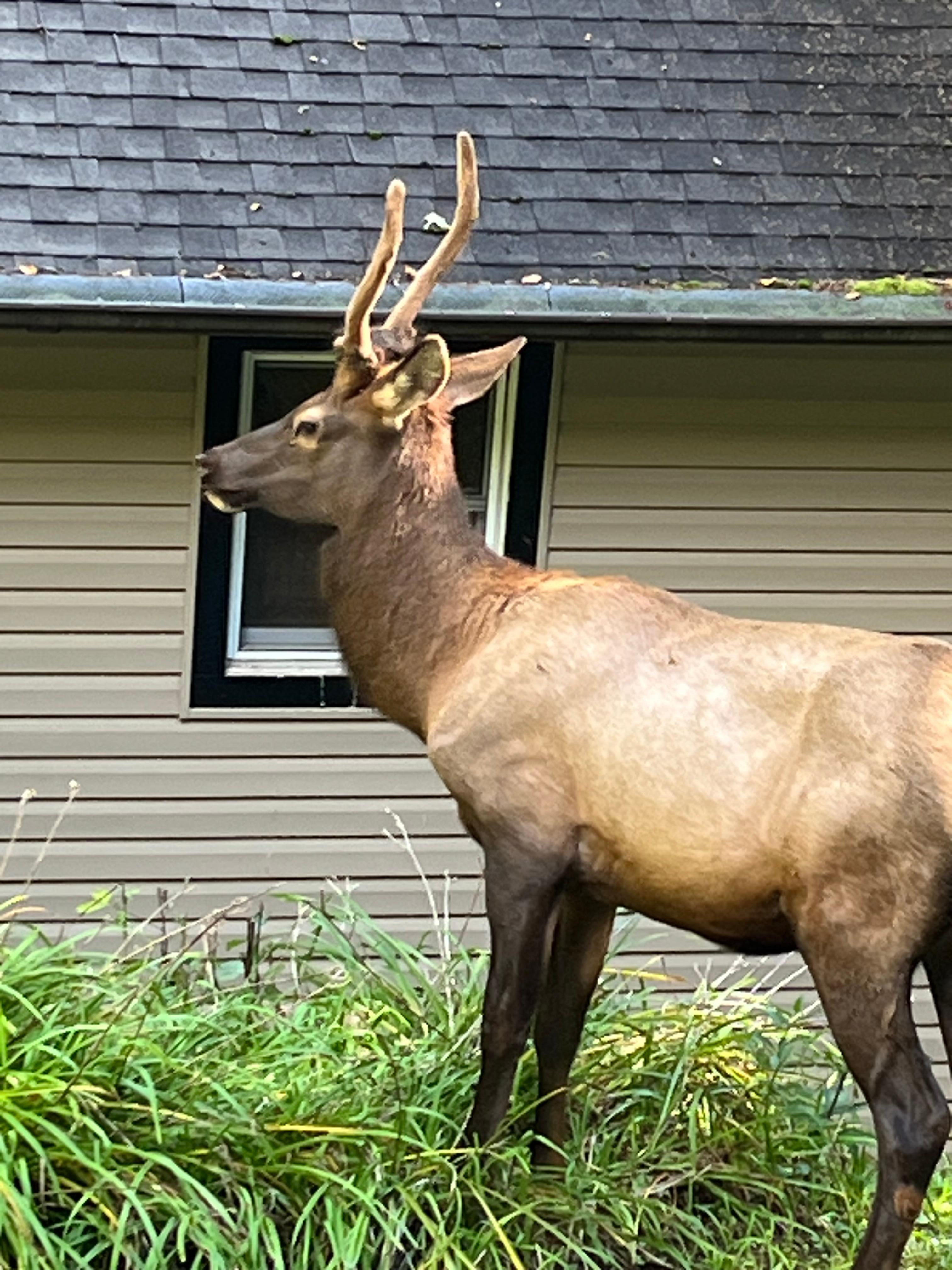 Our visitors while we were there