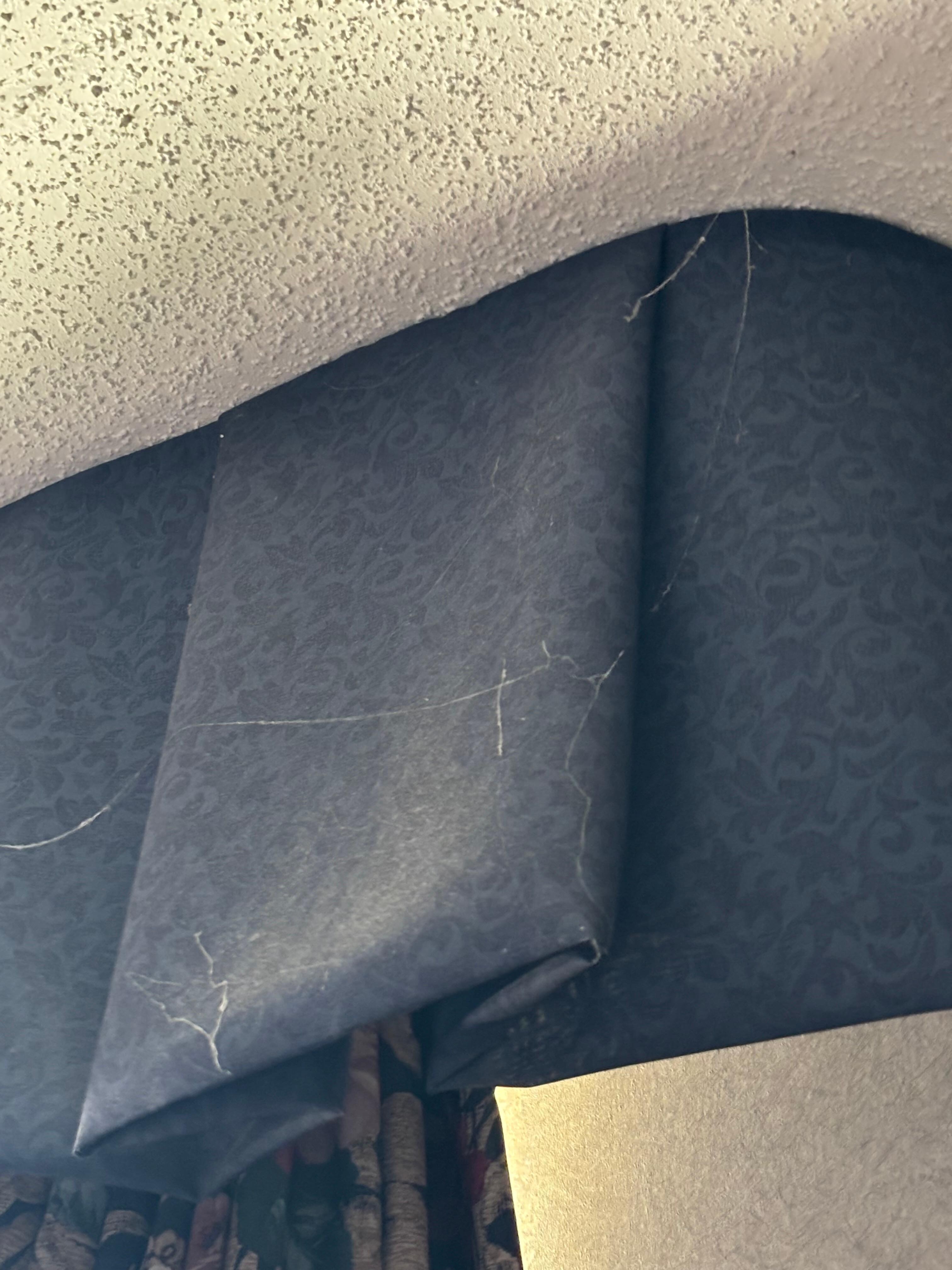 Cobwebs 