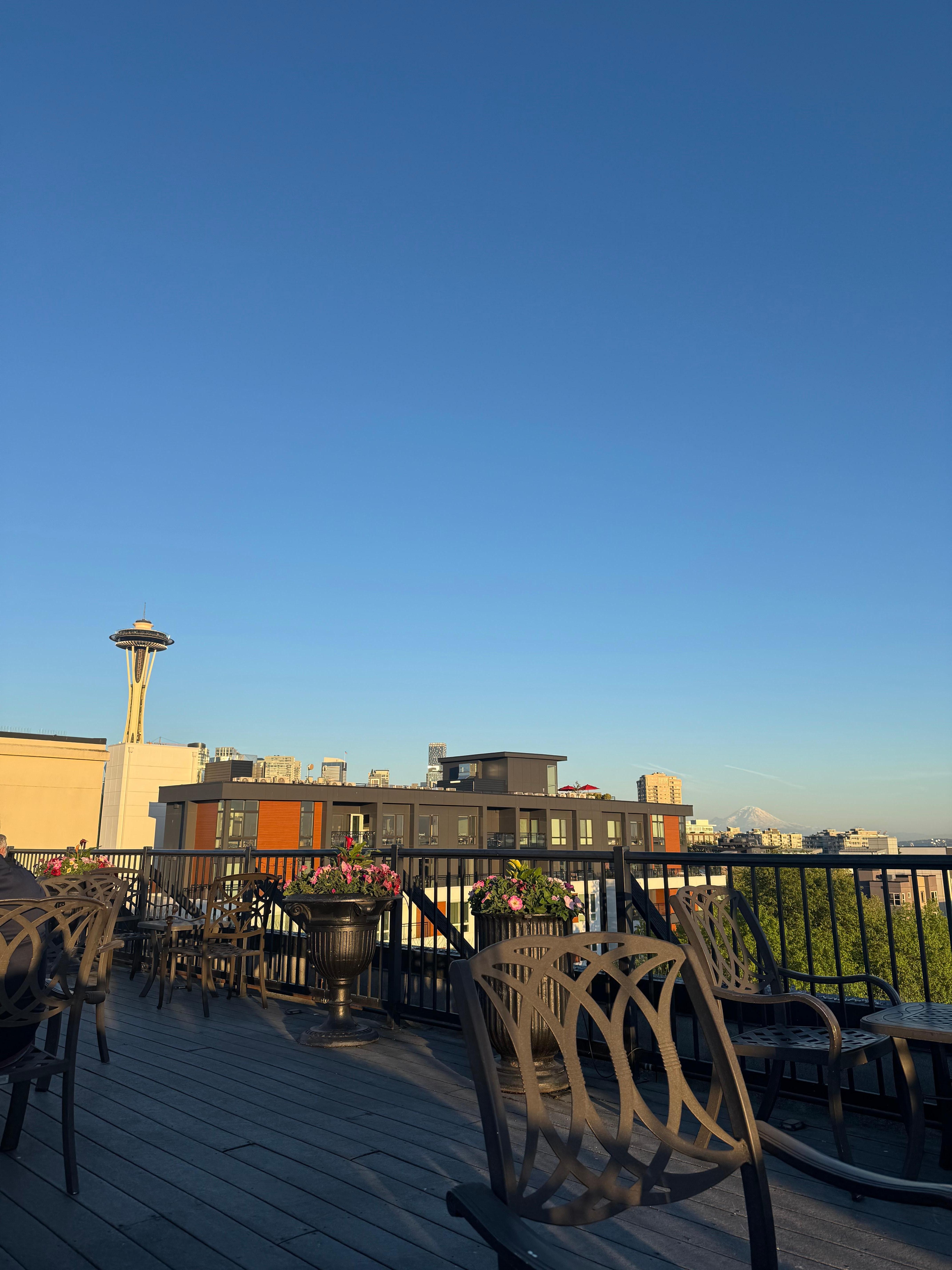 Rooftop view 