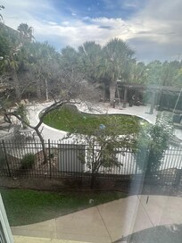 Green sludge in pool
