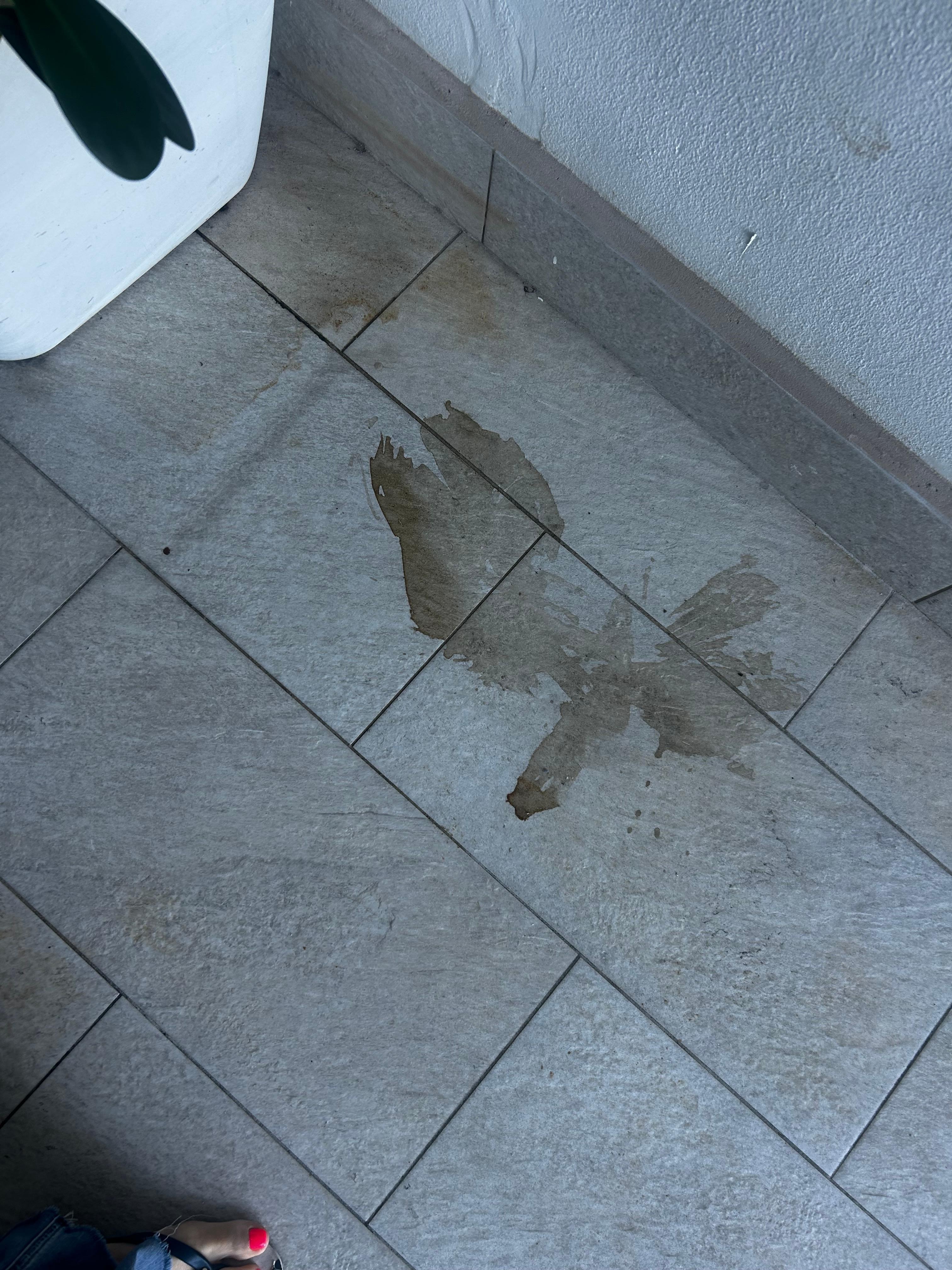 This stain was on the area outside our room the entire stay 
