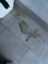 This stain was on the area outside our room the entire stay
