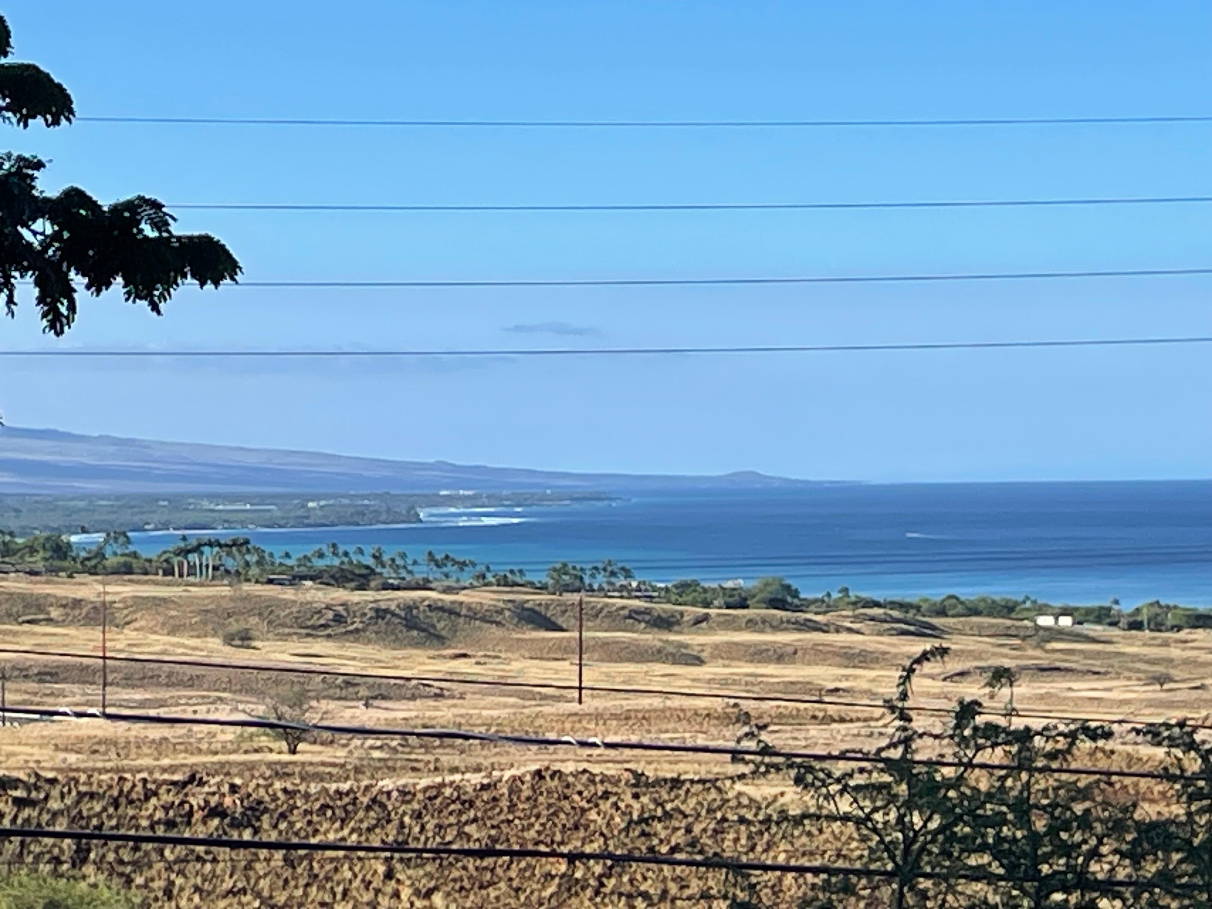 Daytime whale watch from yard