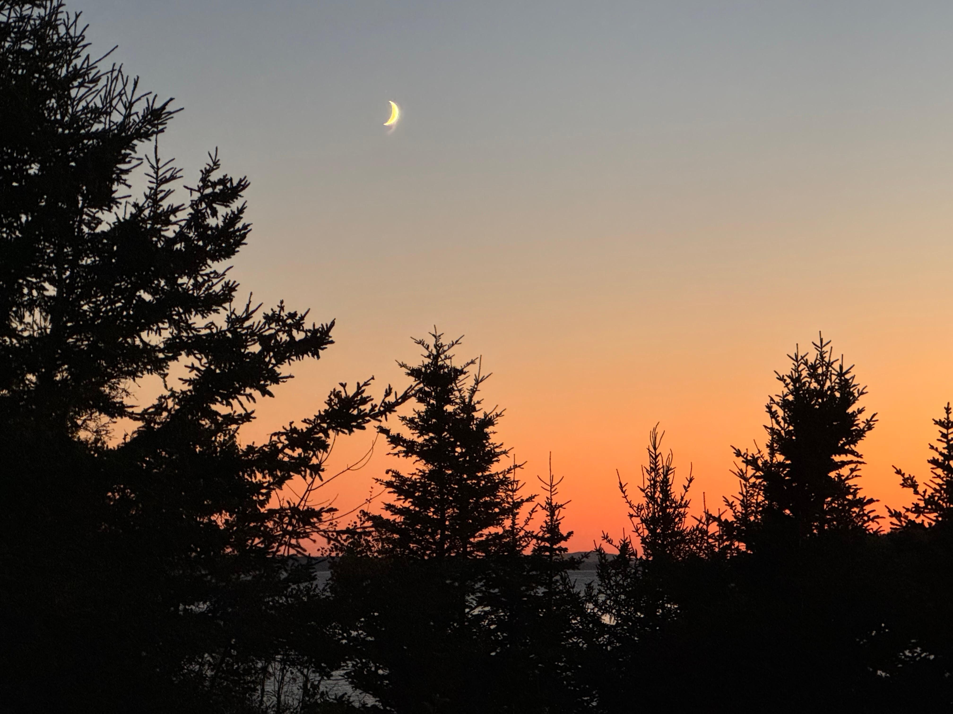Sunset as seen from the back yard 