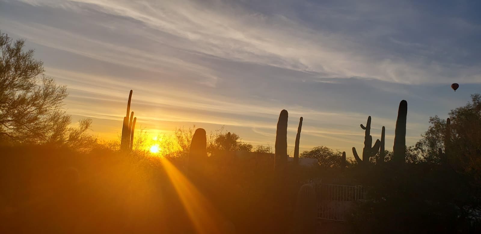 View of the sunrise from the porch. The porch was equipped with table and chairs. I could see  the saguaro cactuses, hummingbirds, warblers and other birds, and the sunrise while eating breakfast.