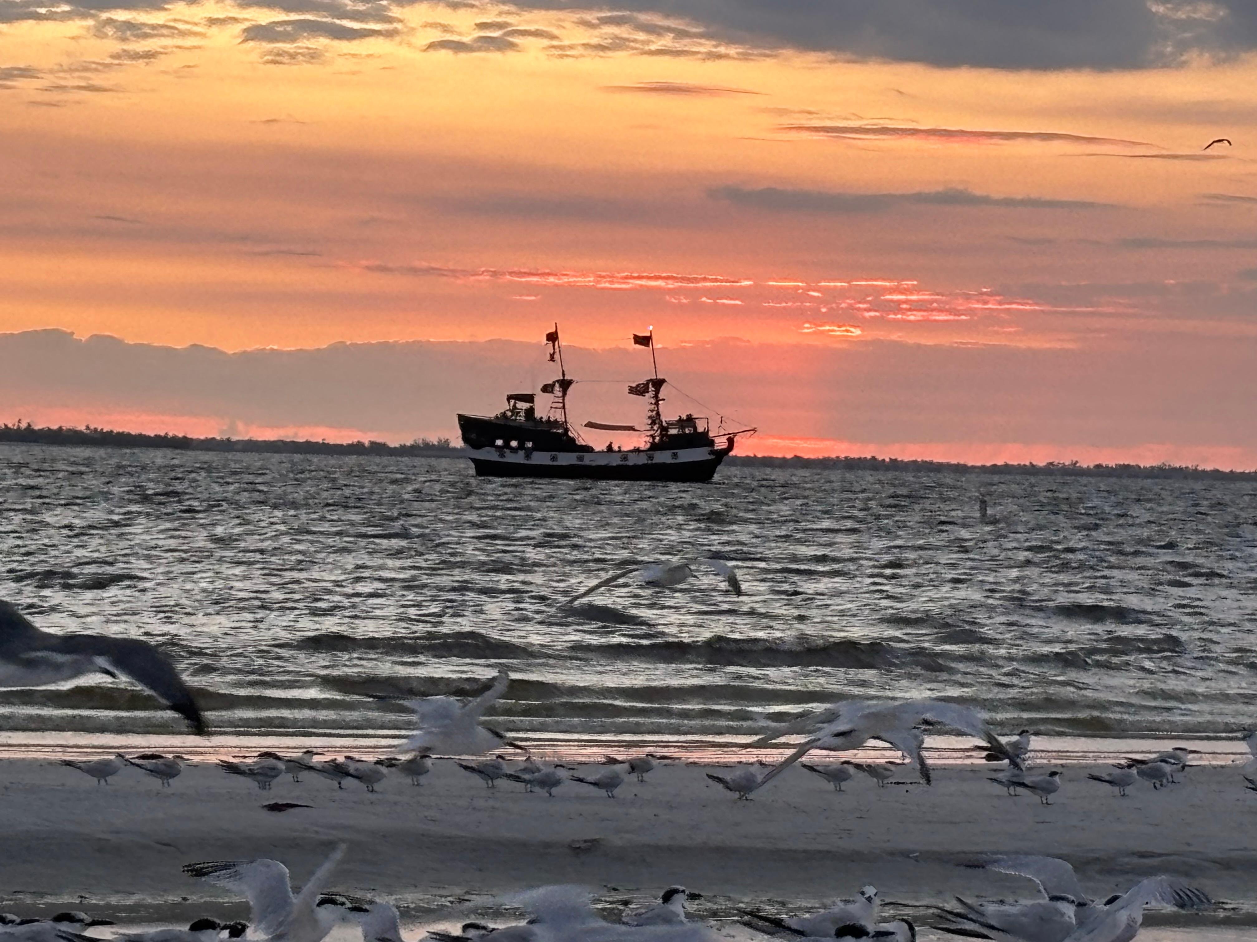 Evening ship sailing by