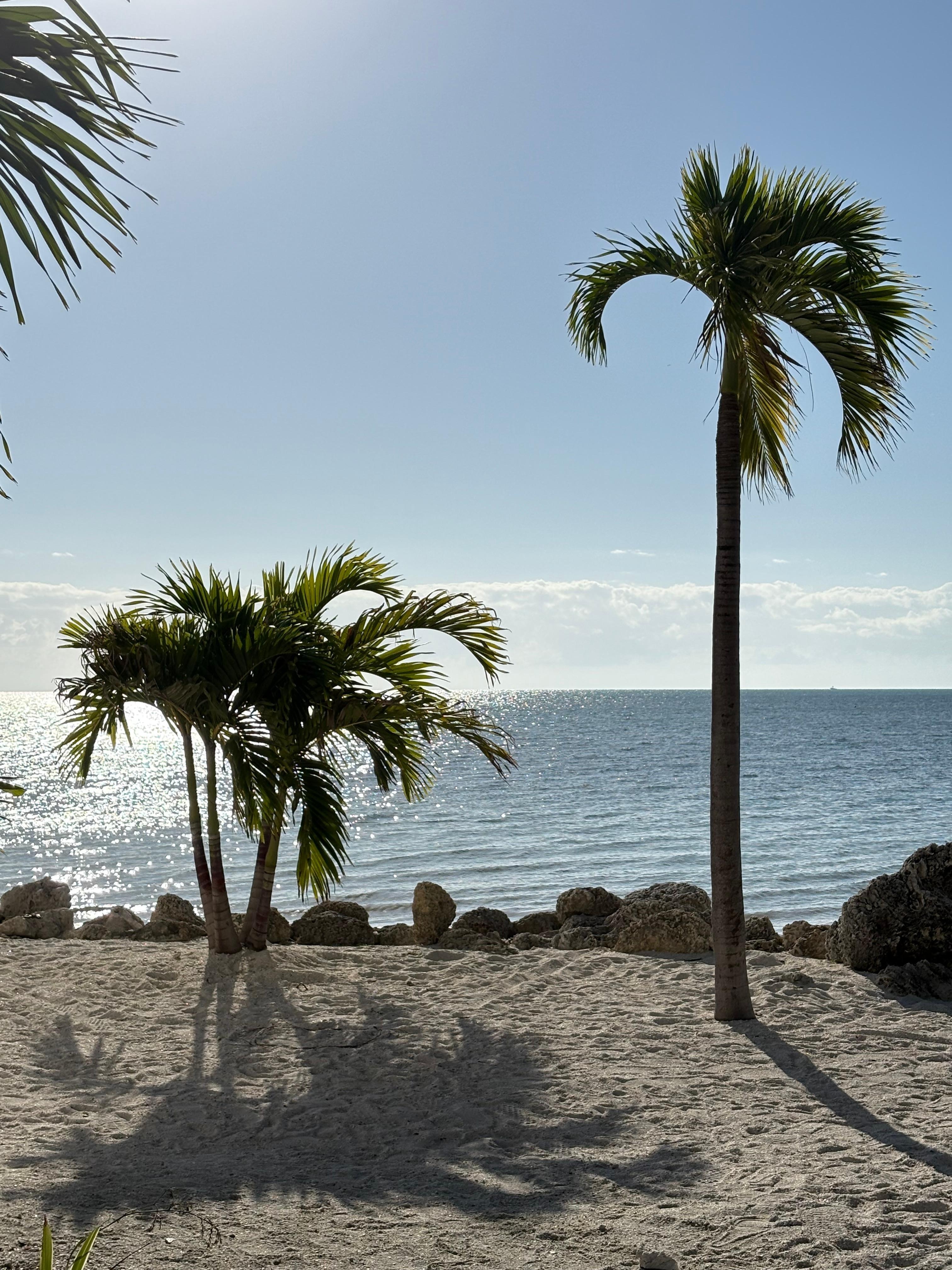 Right outside the door.