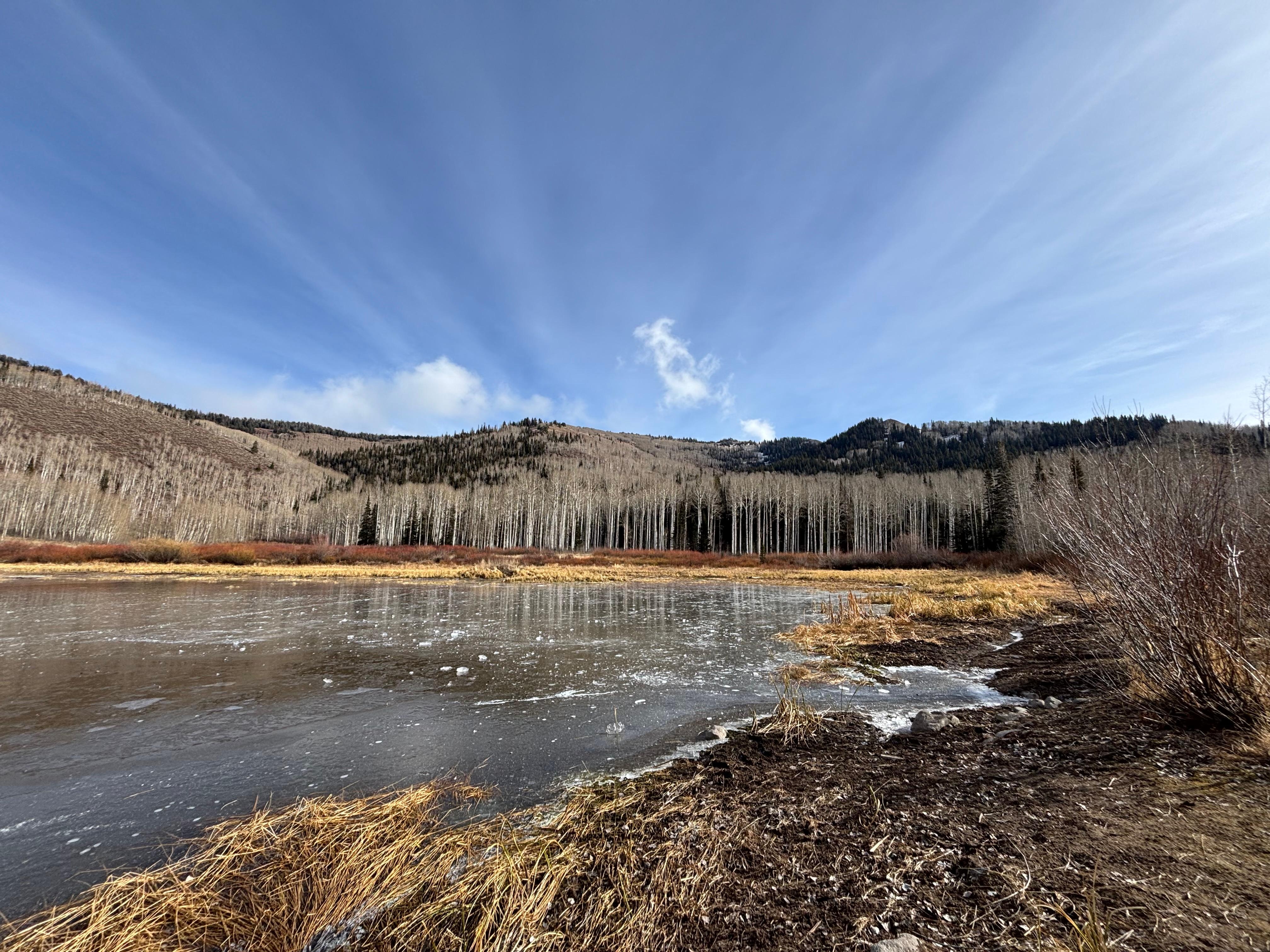 Willow lake on November 29.