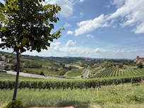 Local landscape