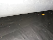 Under pull out bed