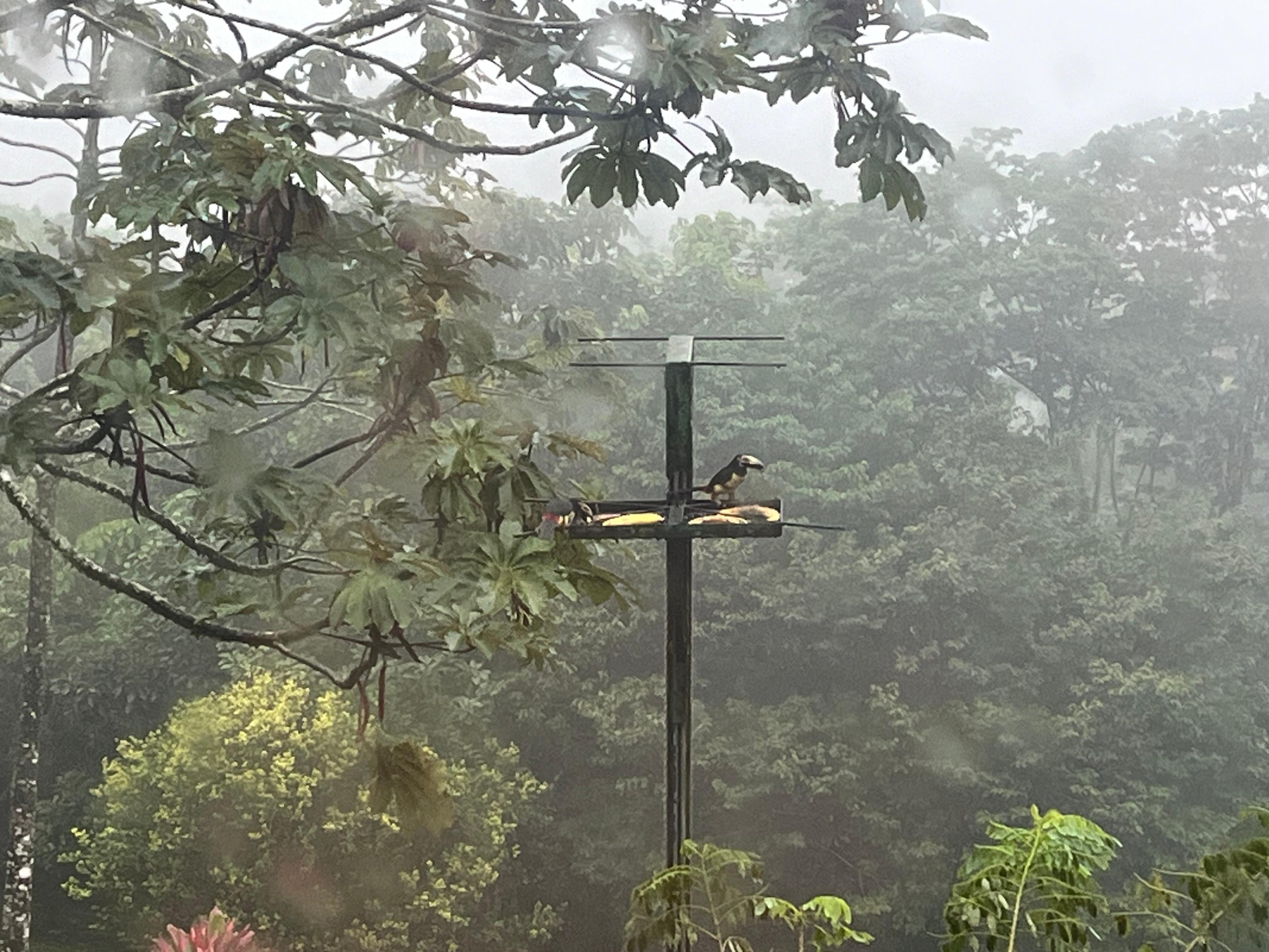 Vue de l'espace commune 