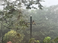 Vue de l'espace commune