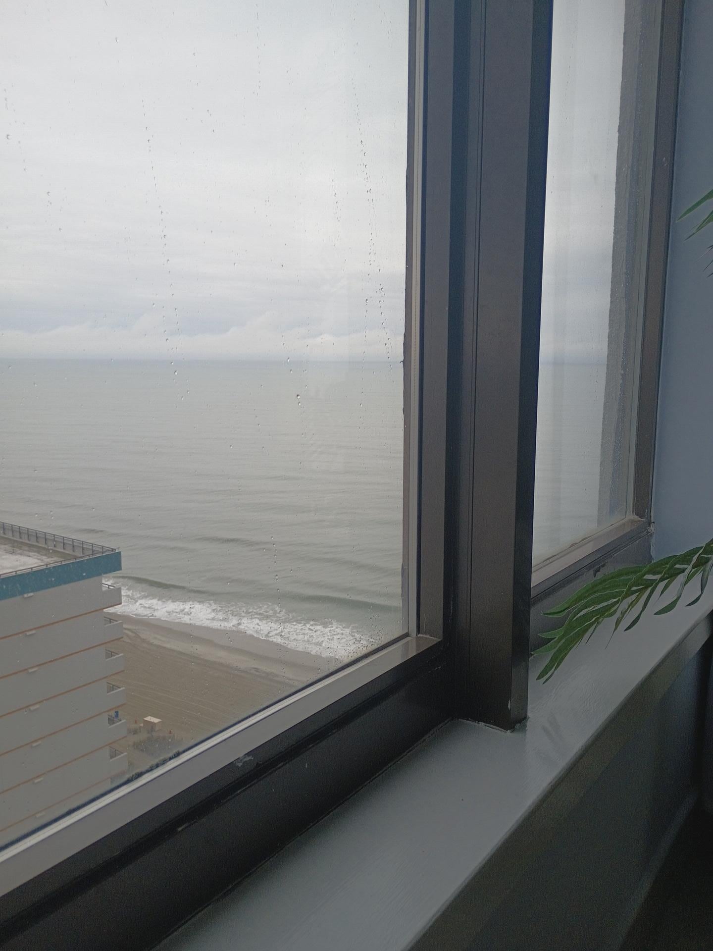 From the living room