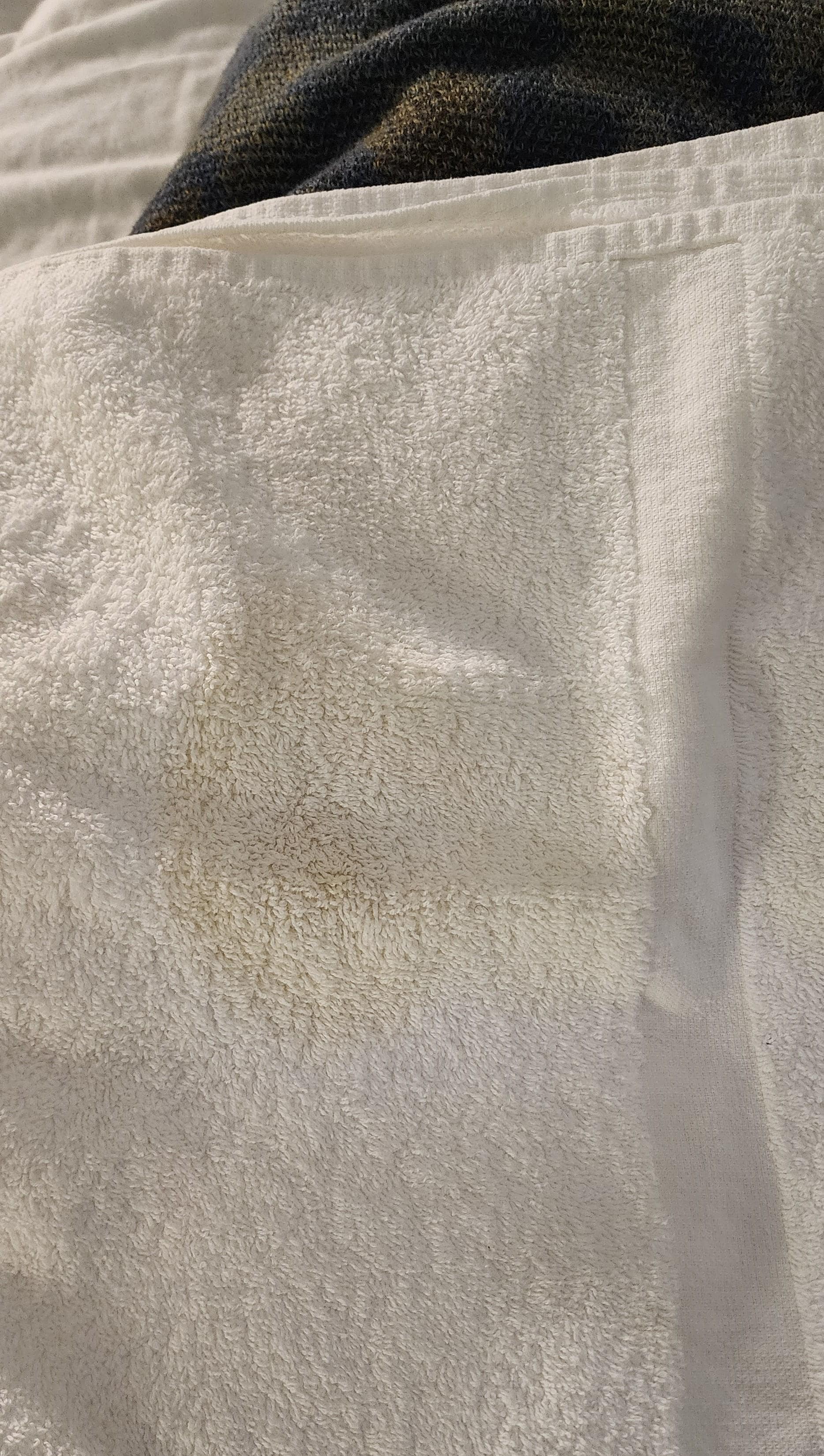 Hard to tell here but there's a big yellow spot on here that is animal urine. Wasn't a 1 and done thing, later I found my pillow had animal urine on it too.