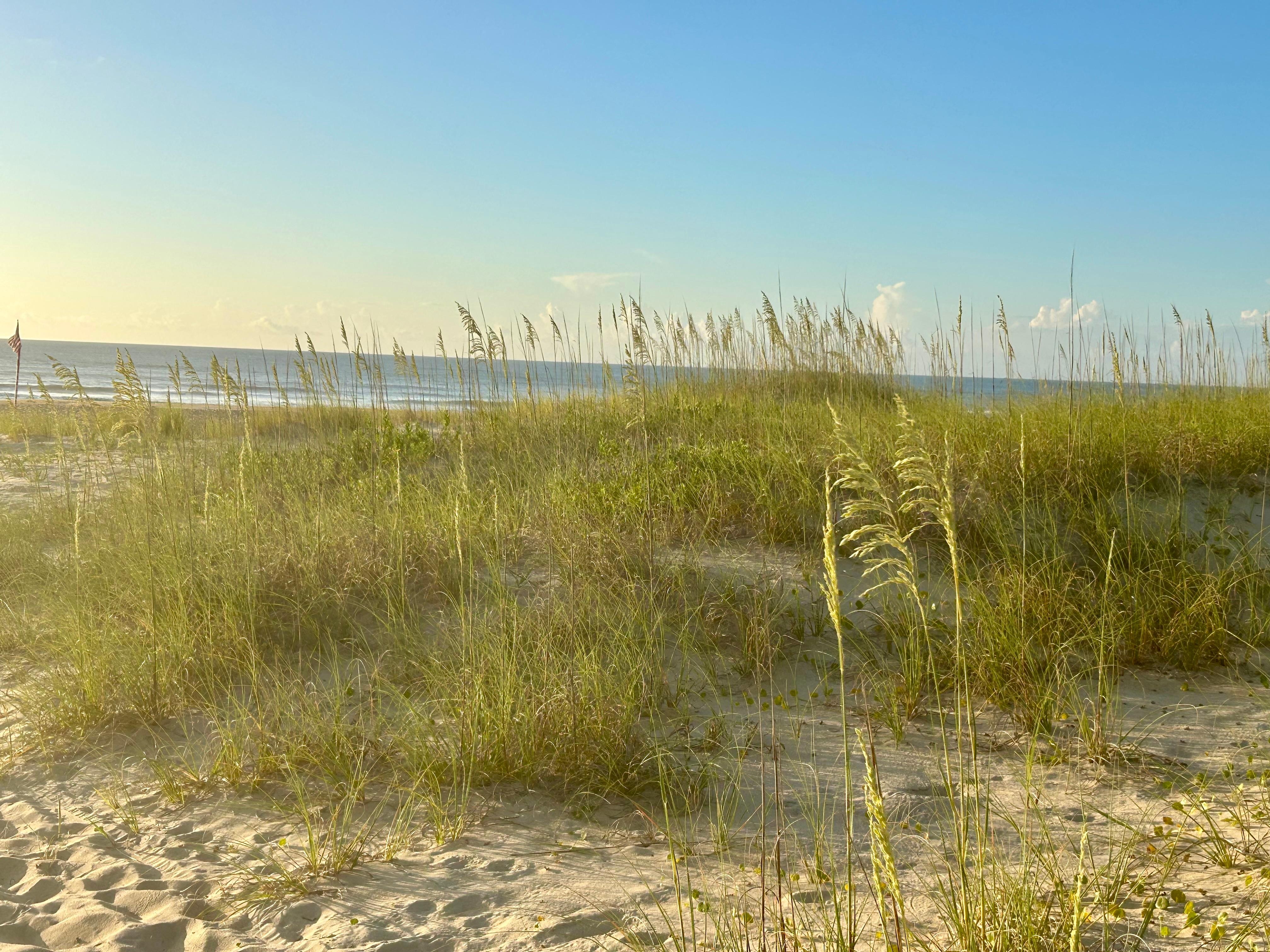 The short walk to the beach…glorious view!