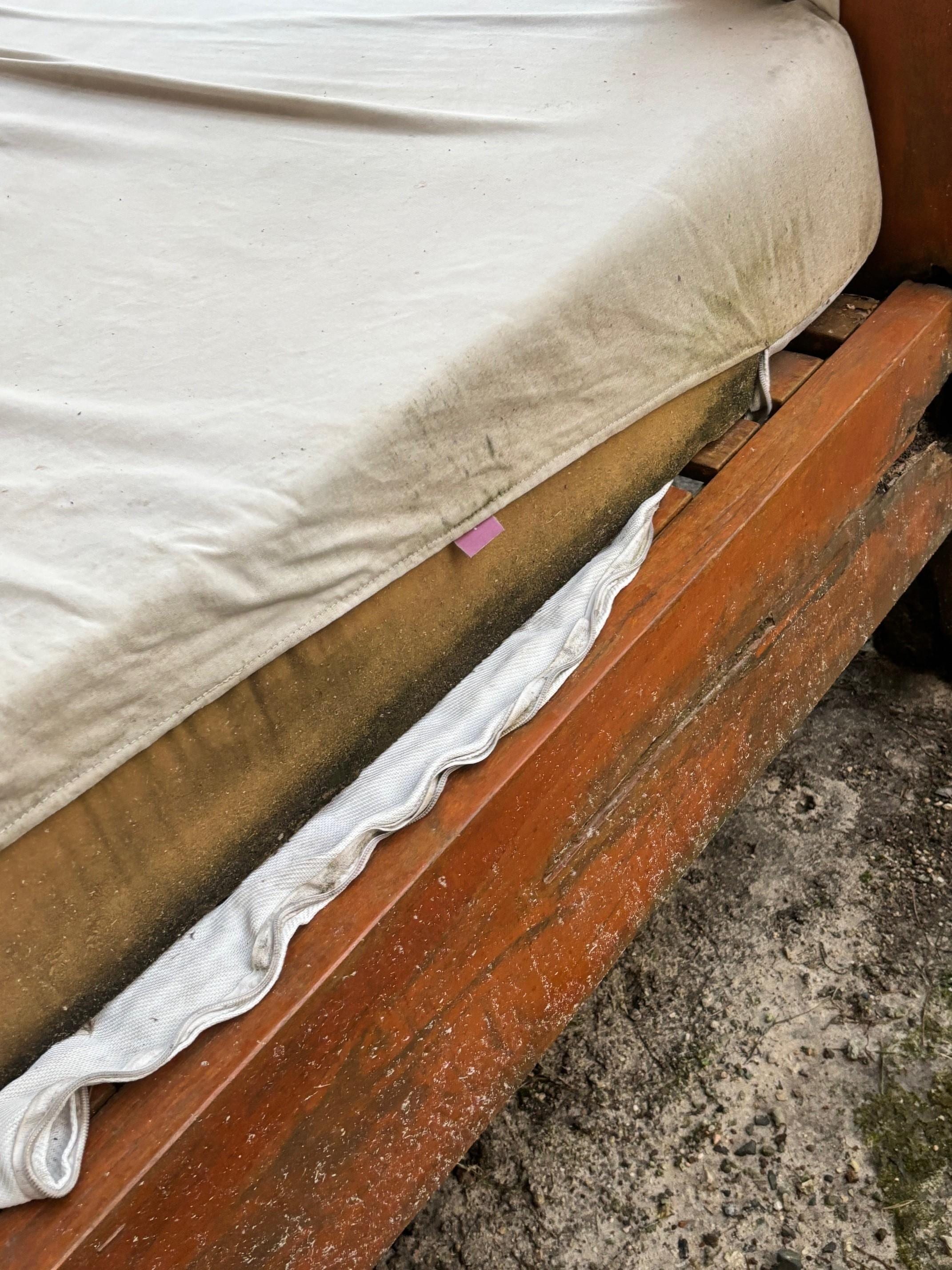 Moldy broken pool bed