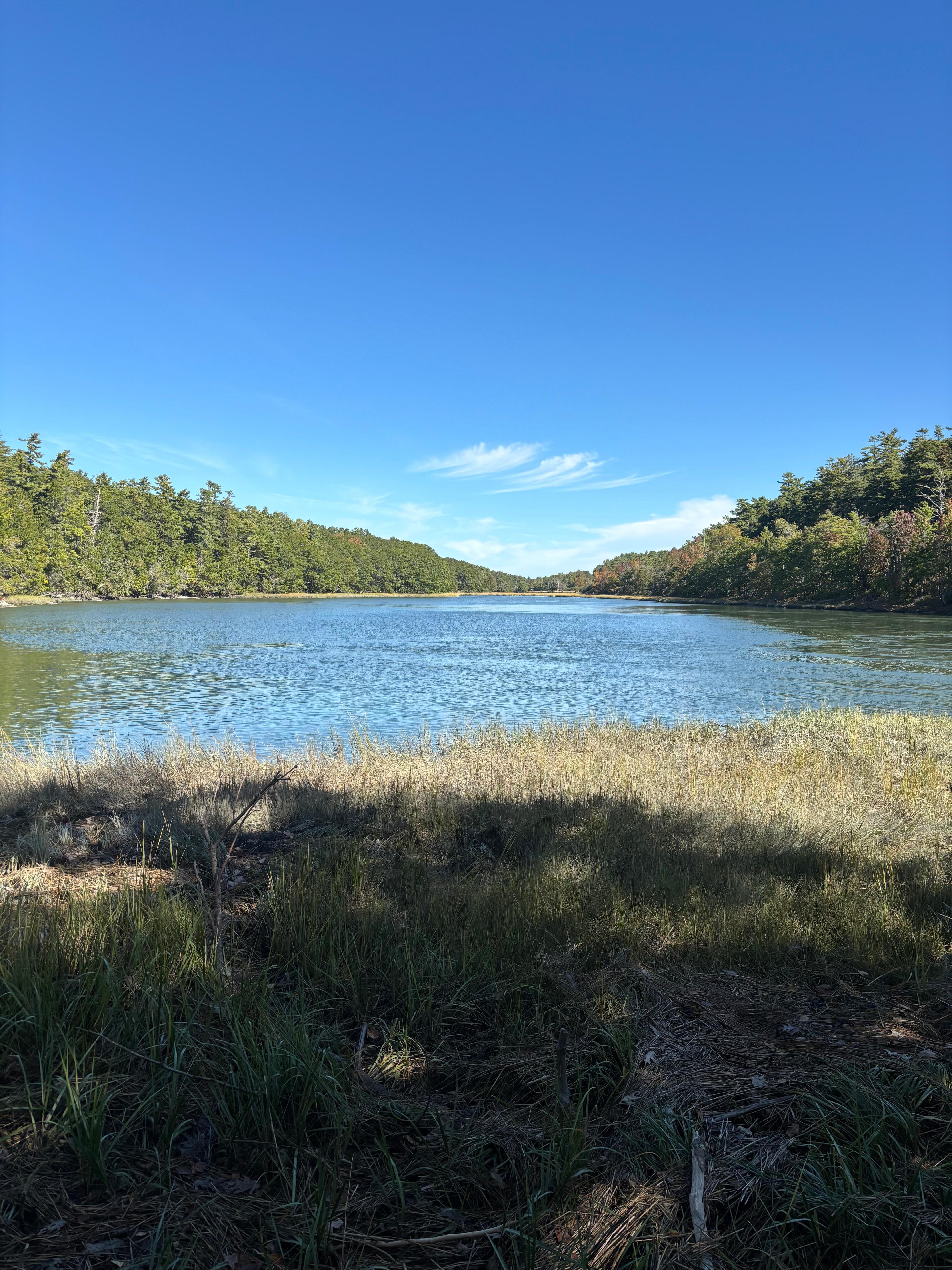 The pond- where we saw herons 