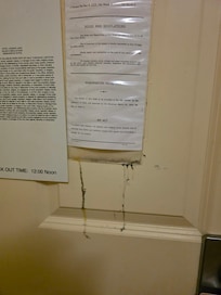 Something nasty running down door.