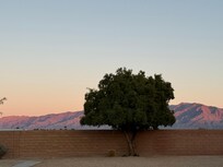 Beautiful Mesquite sunset!