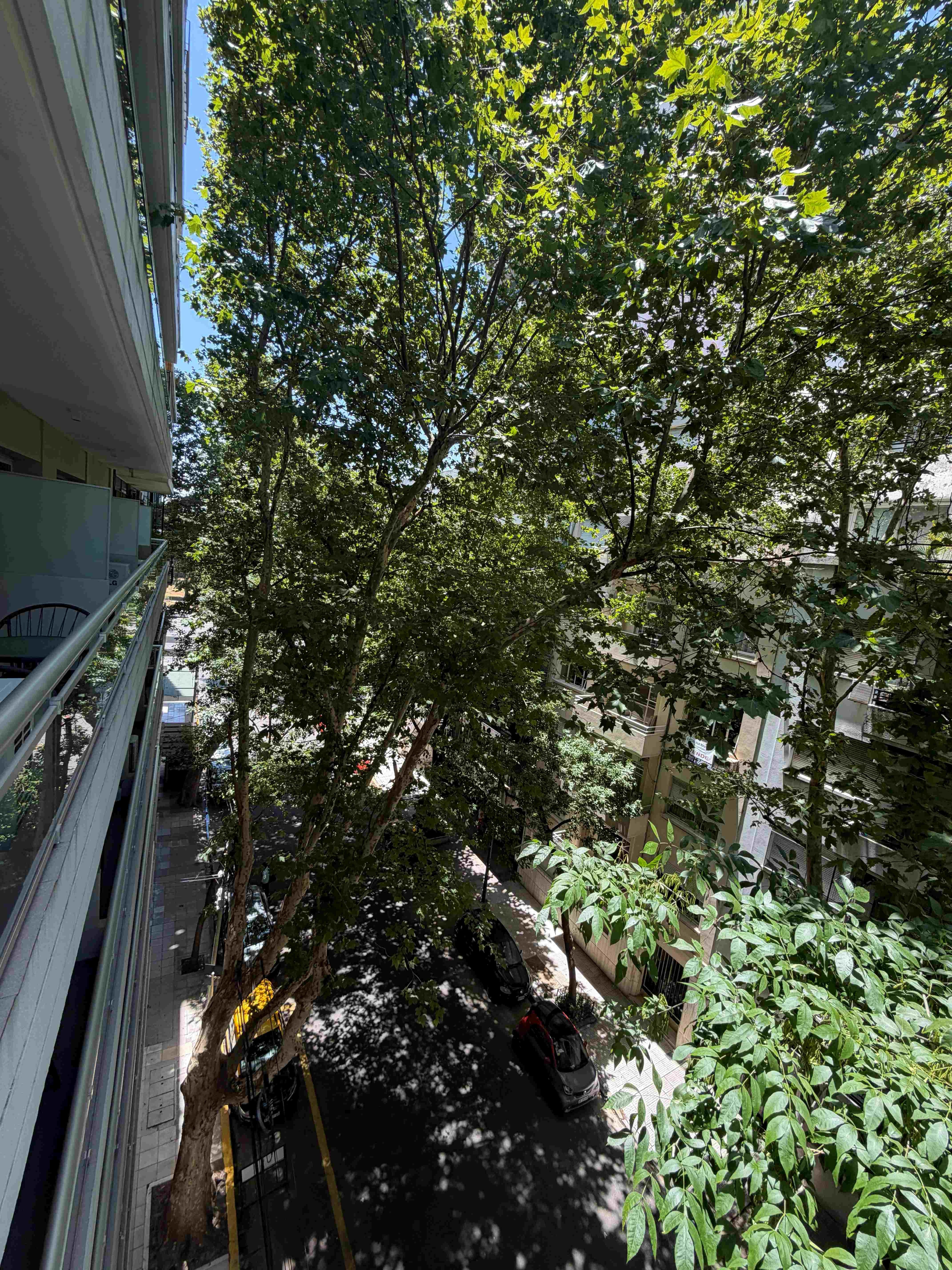 View from the balcony of a 5th-floor room facing Lafinur street