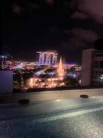The rooftop pool and bar!