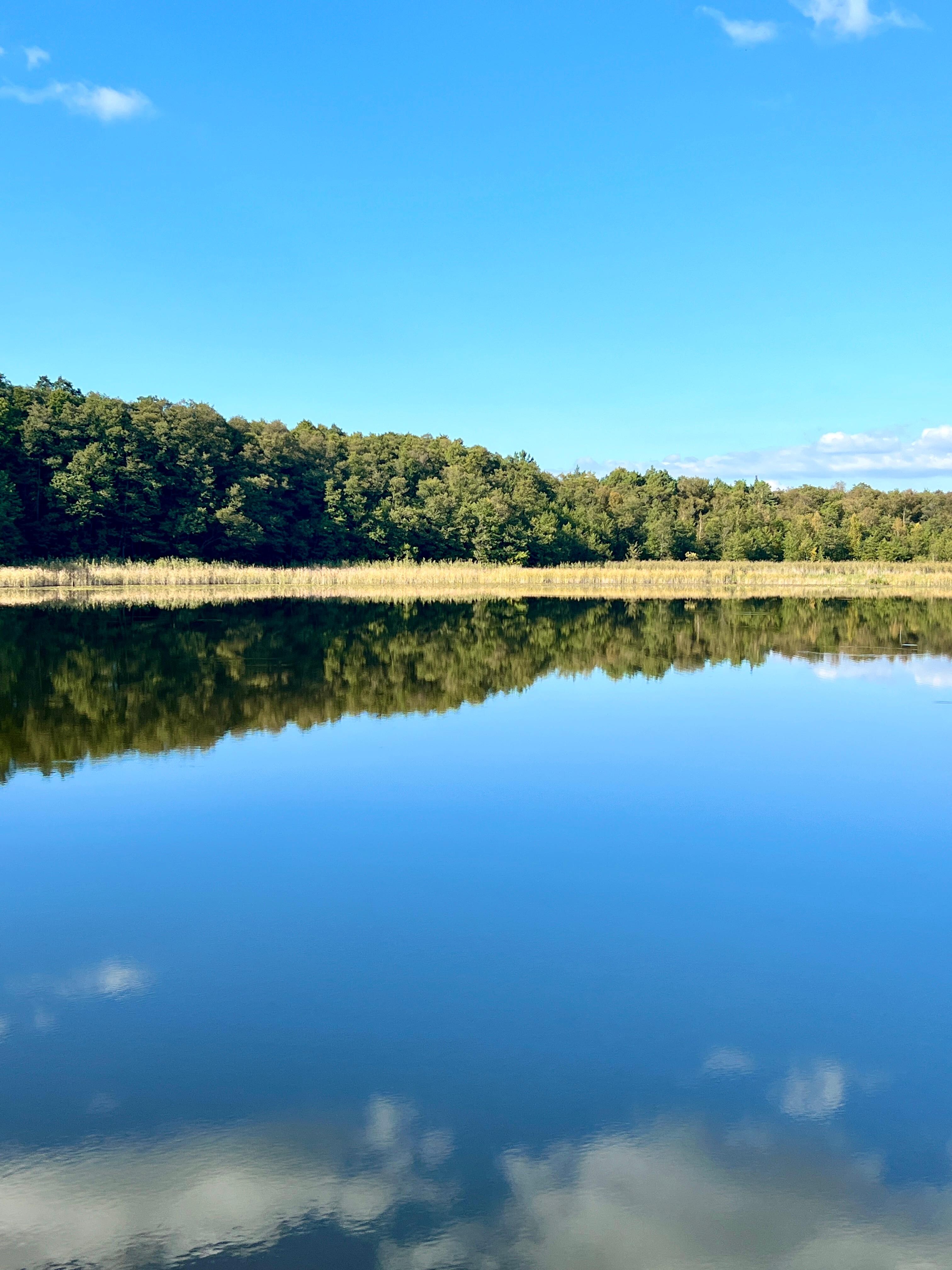 Im Sommer blühen hier tausende Seerosen 