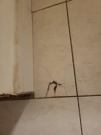 Dangerous sharp broken kitchen floor tile
