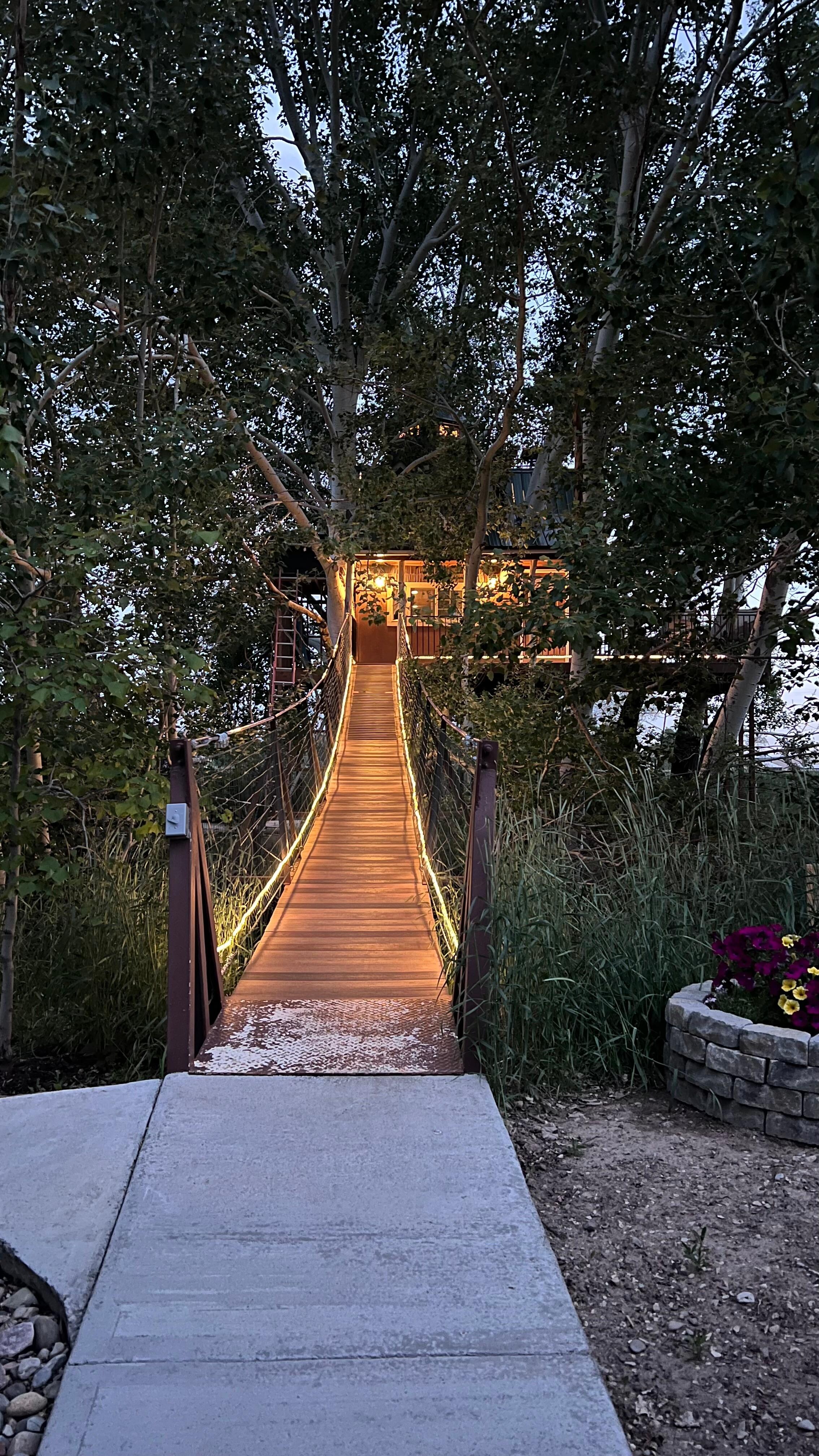 The bridge