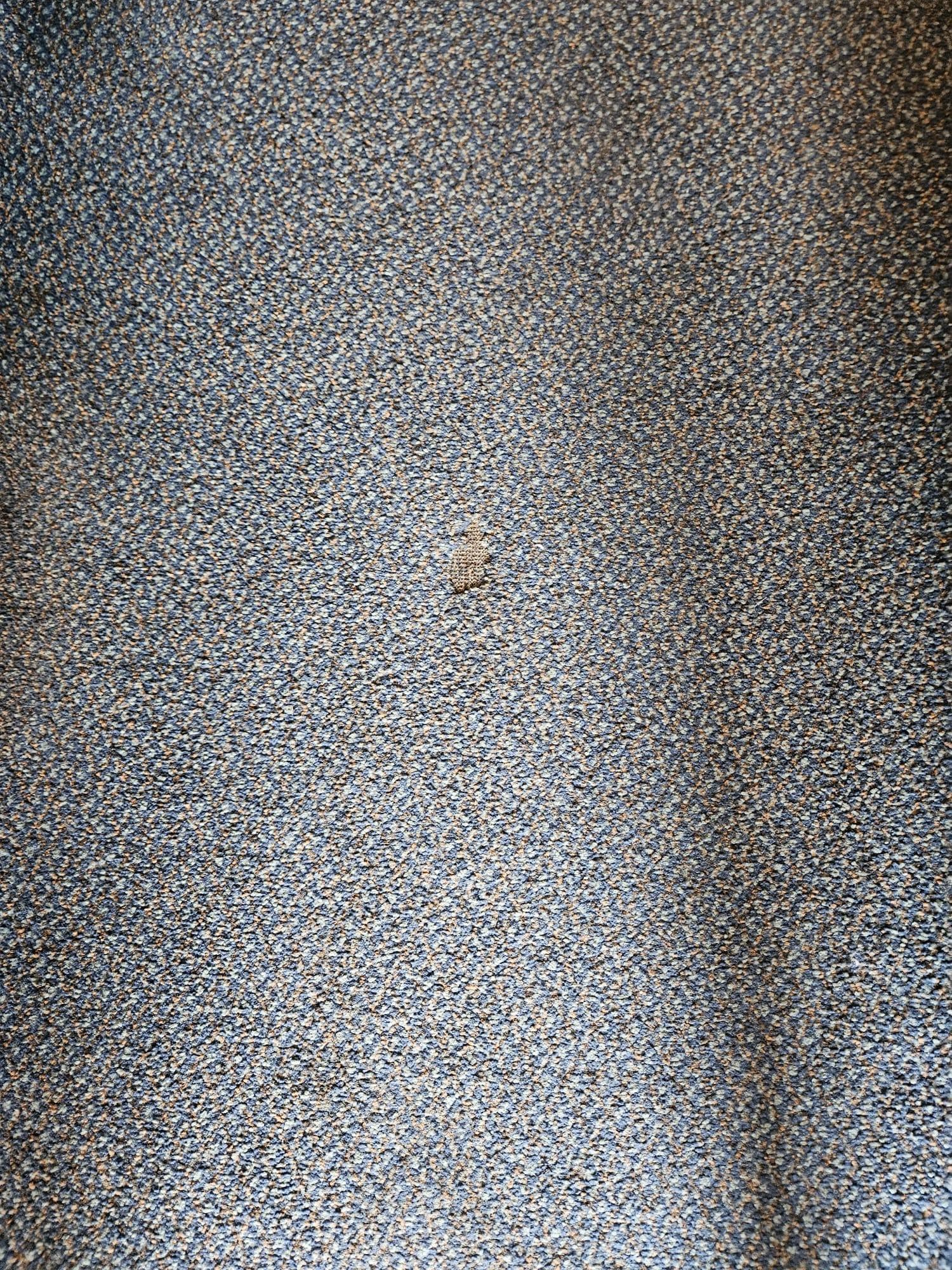 carpet