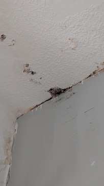 Mold bedroom
