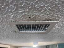Moldy vent