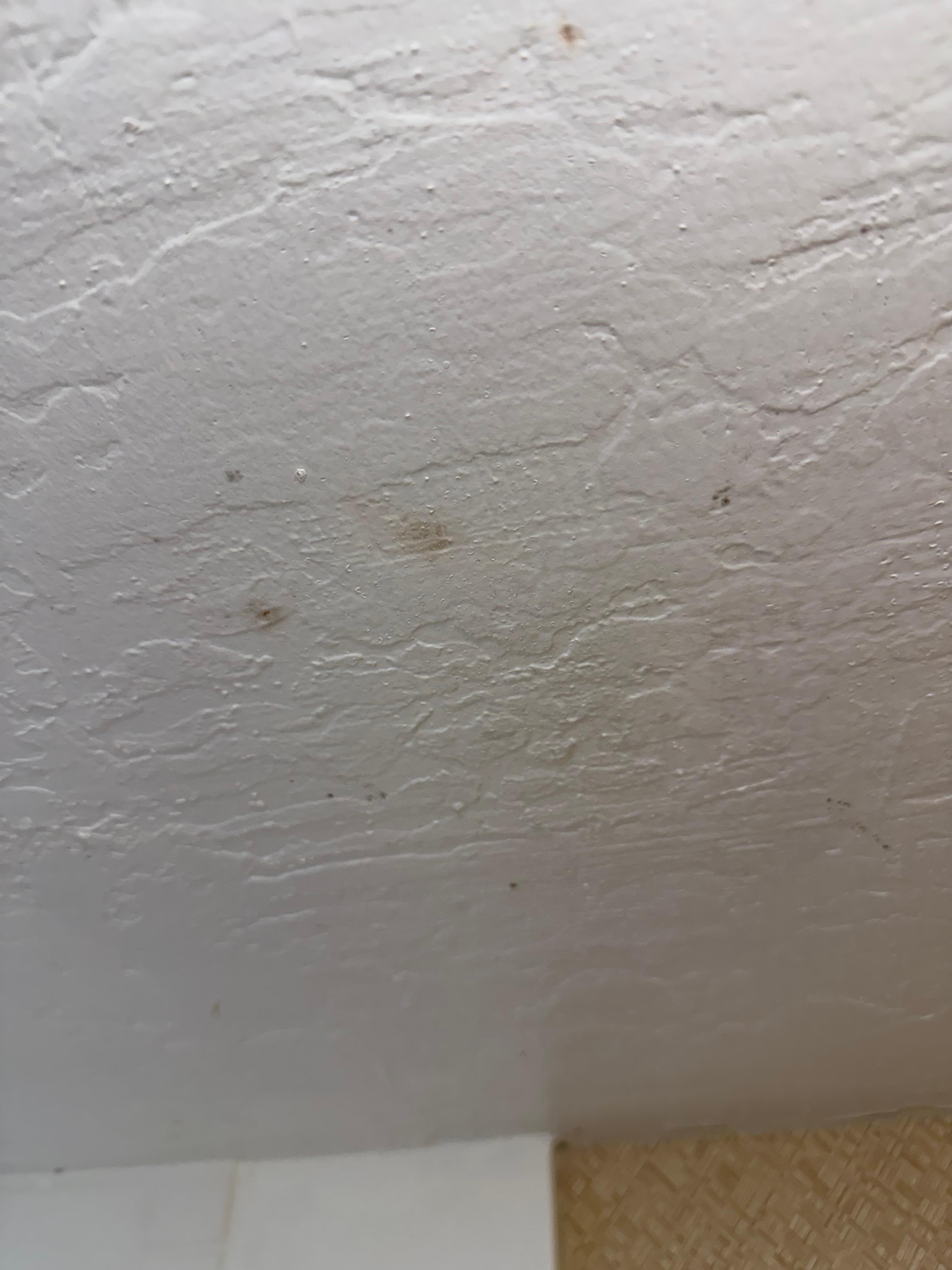 Mold on the ceiling 