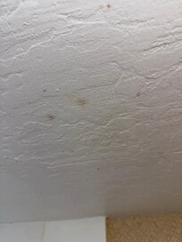 Mold on the ceiling
