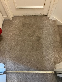 Filthy carpet again