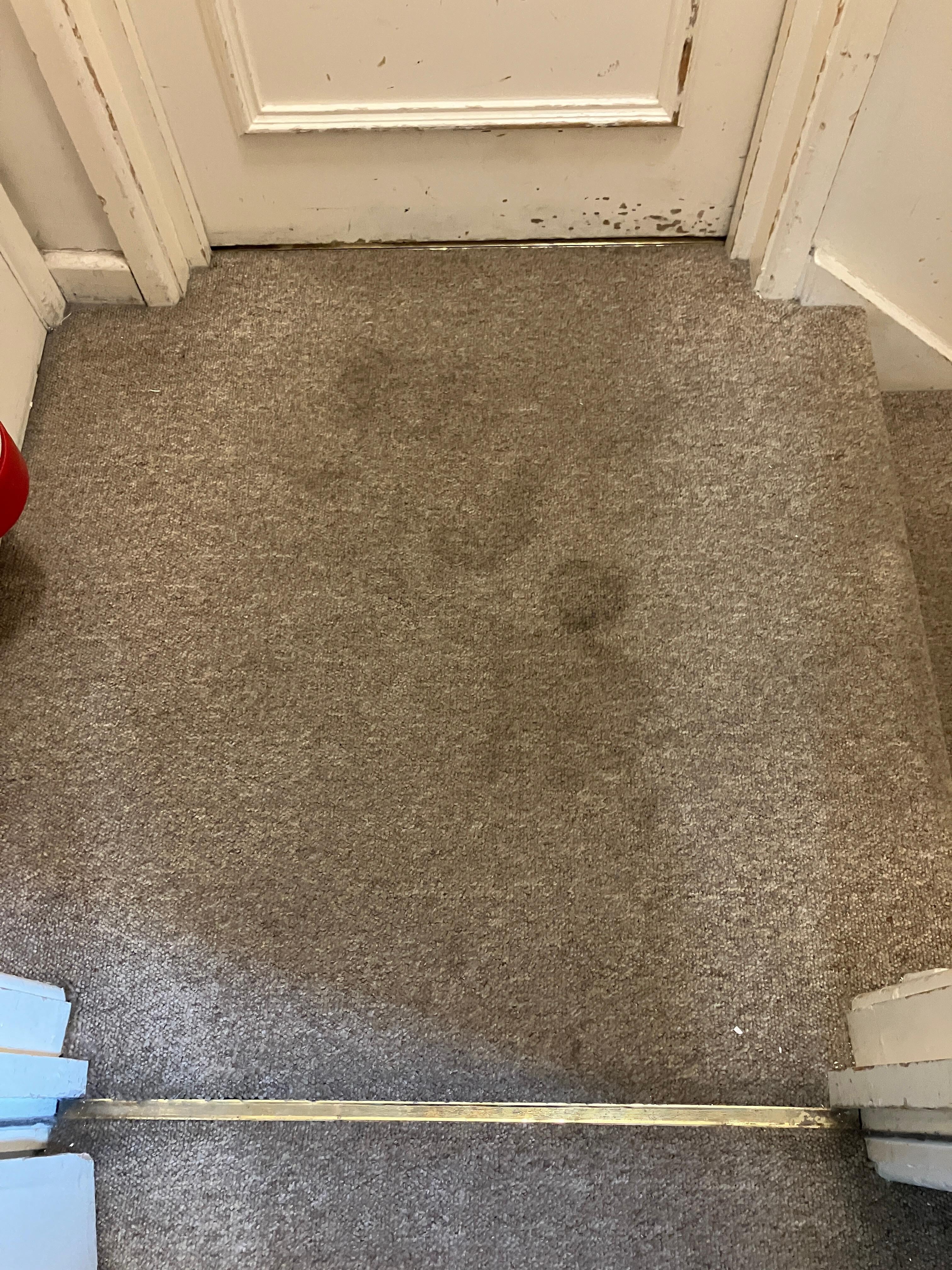 Filthy carpet again 