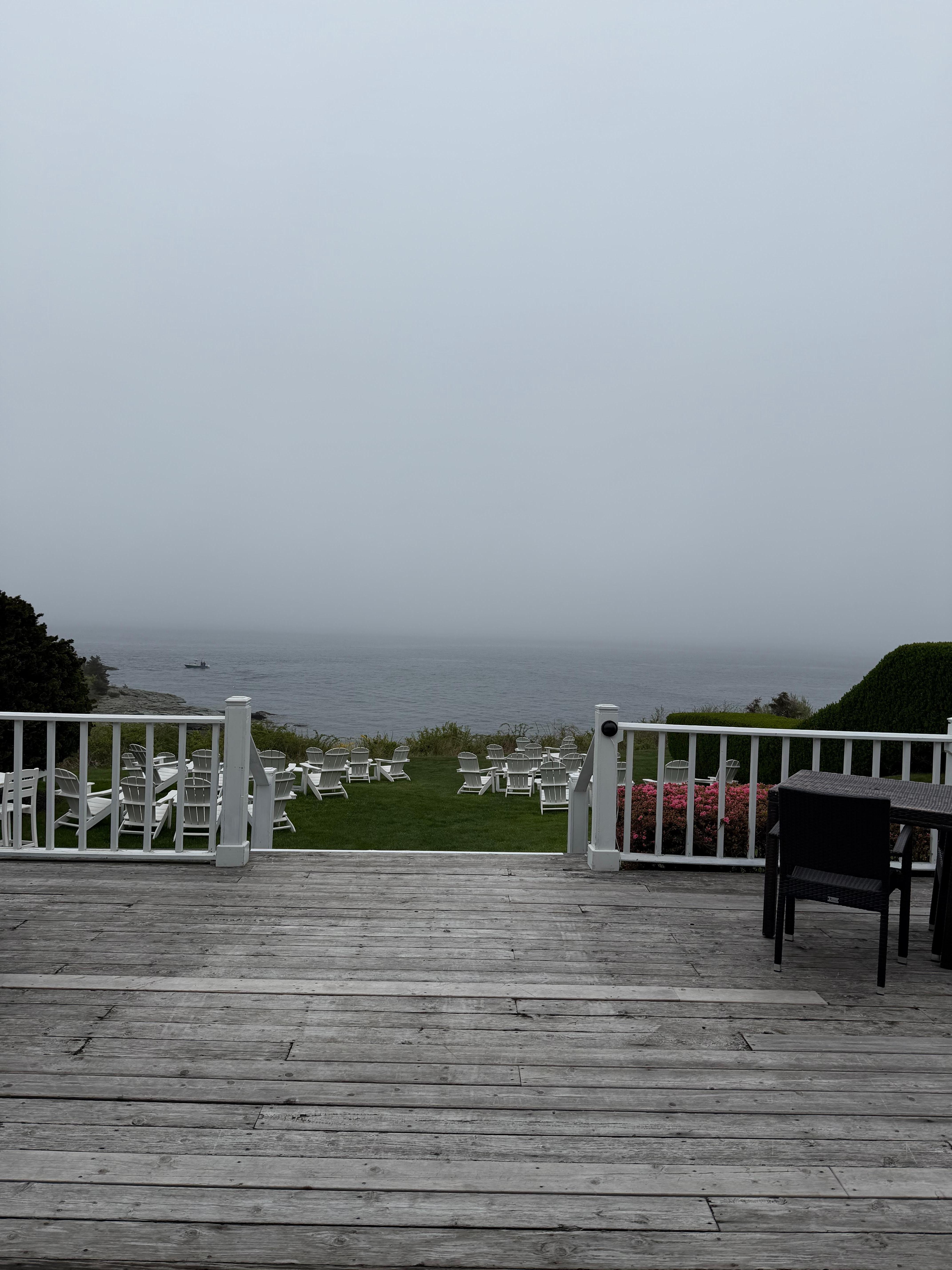View from the Safari room back deck 