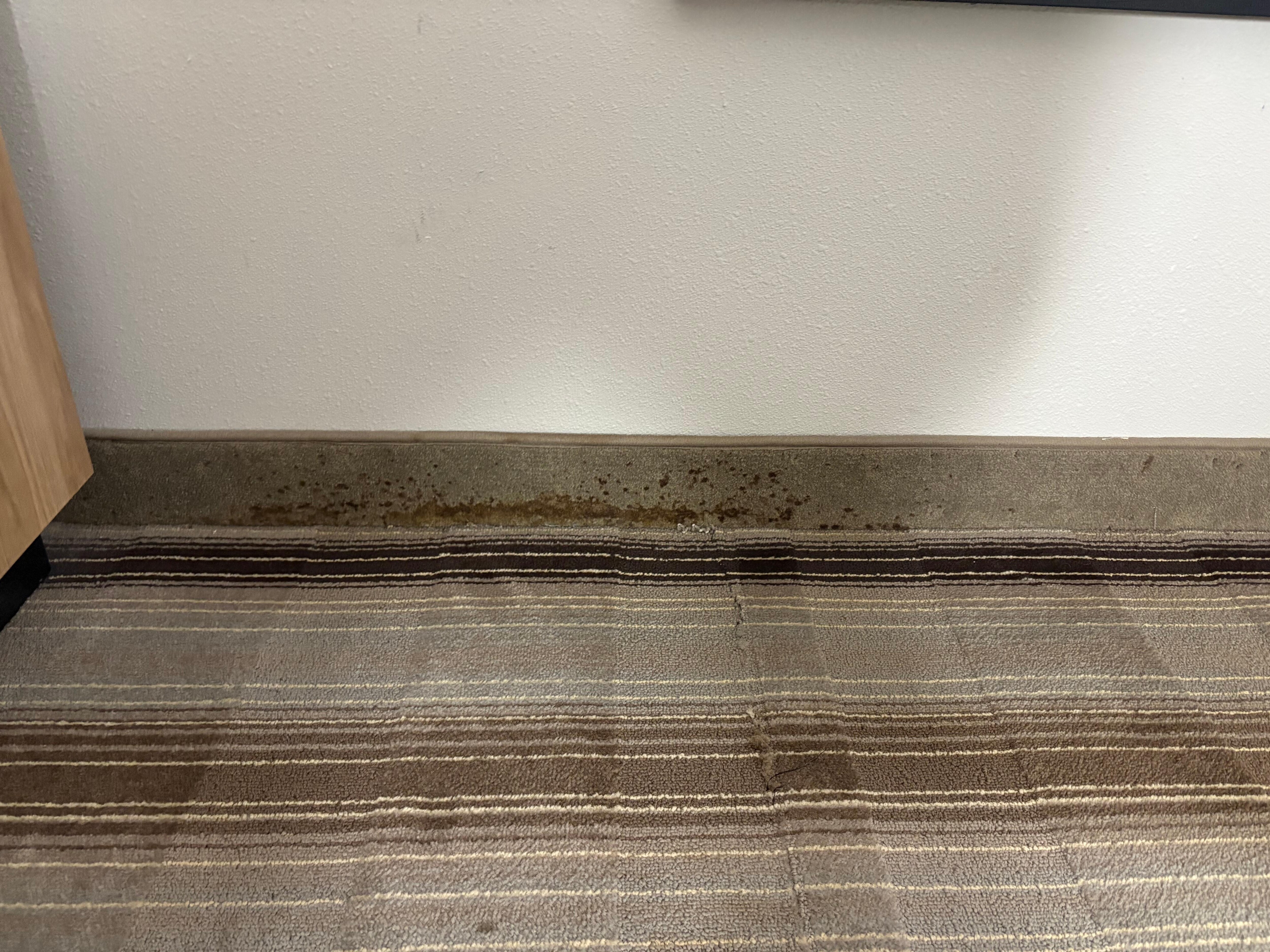 Mold in first room