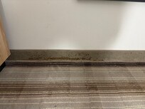 Mold in first room
