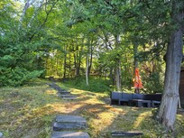 Shady area