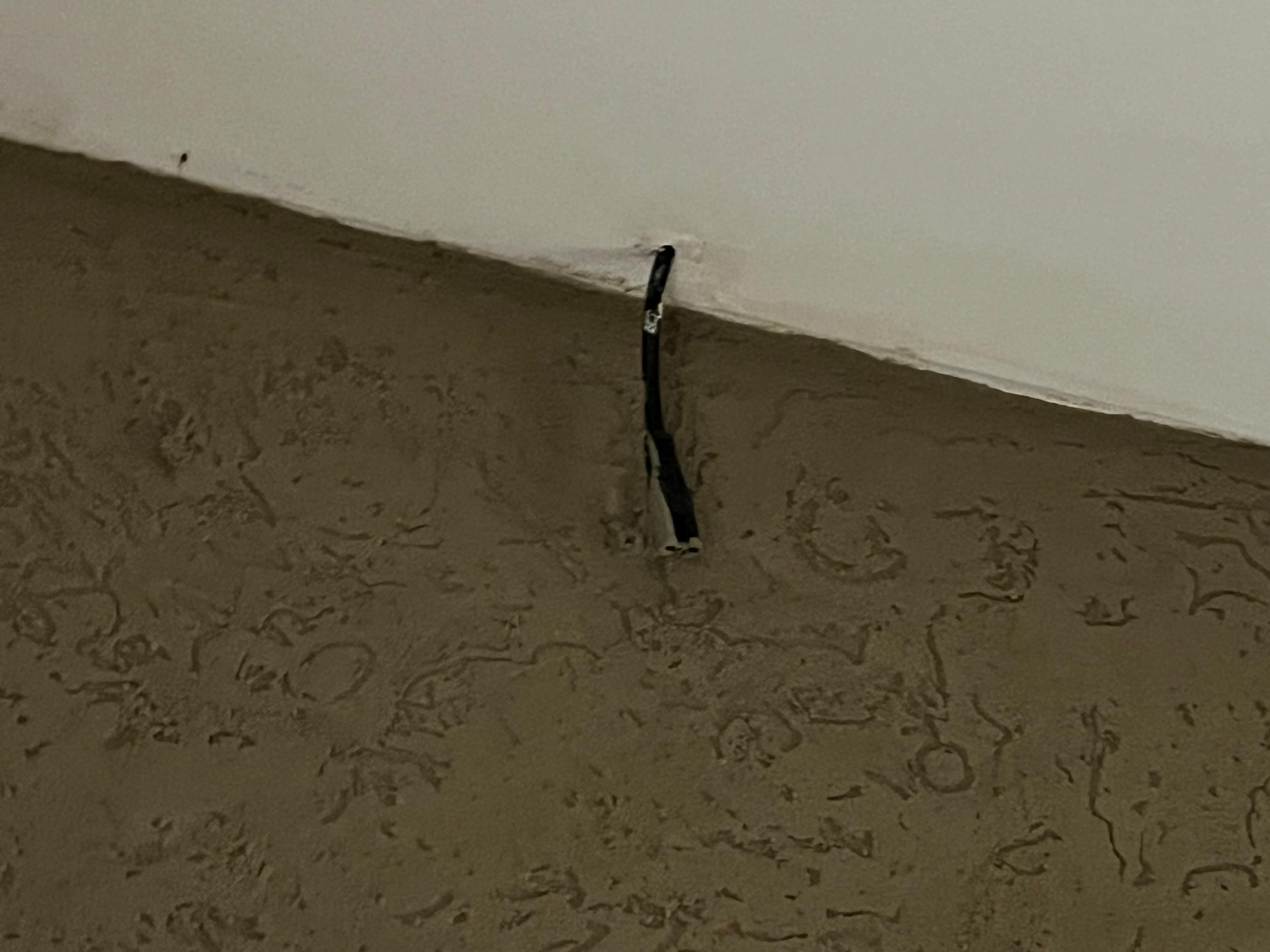 Lots of black bugs in bathroom