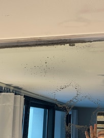 Mold so bad its in the mirror in living room