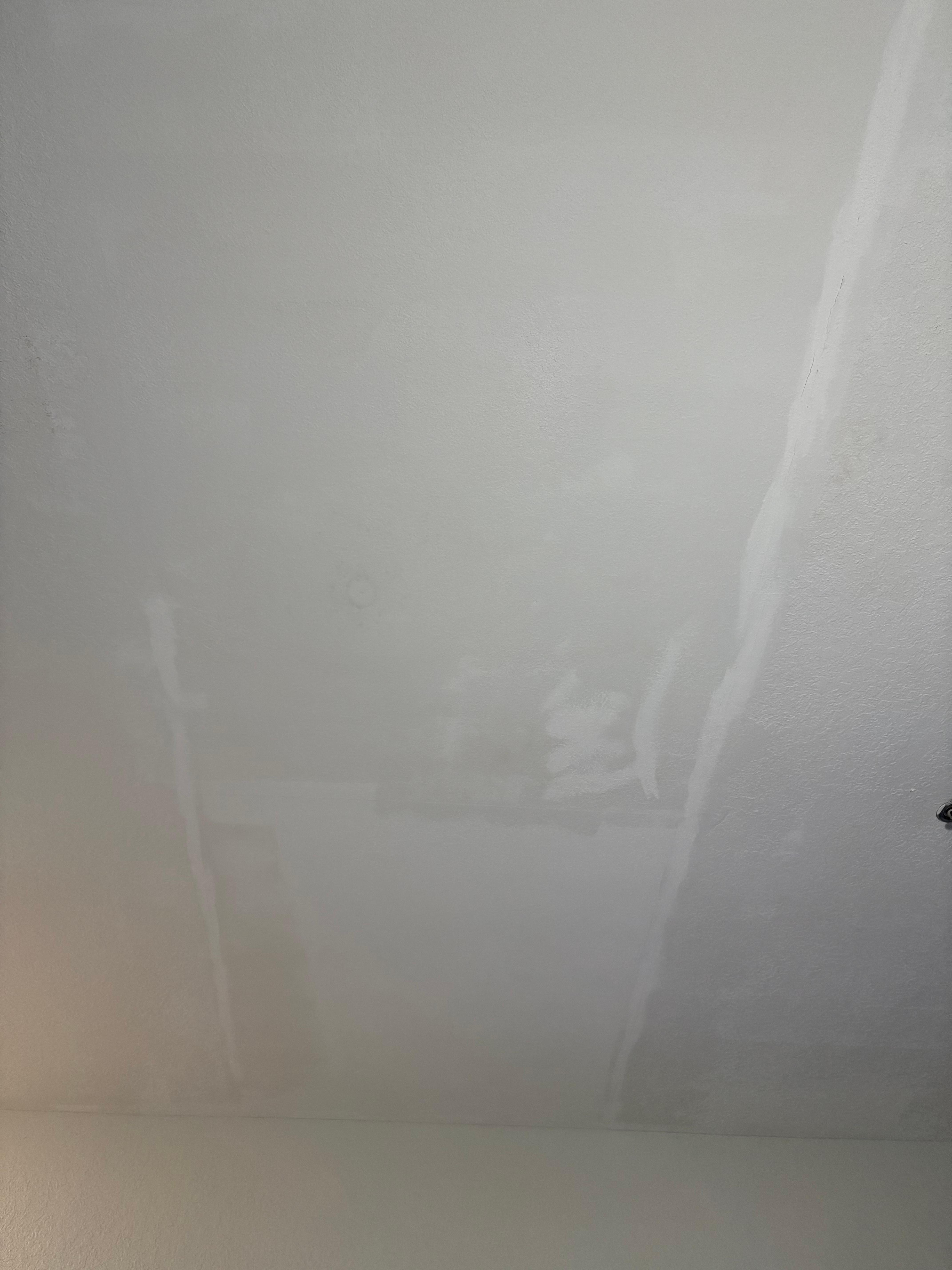Ceiling ? Water damage