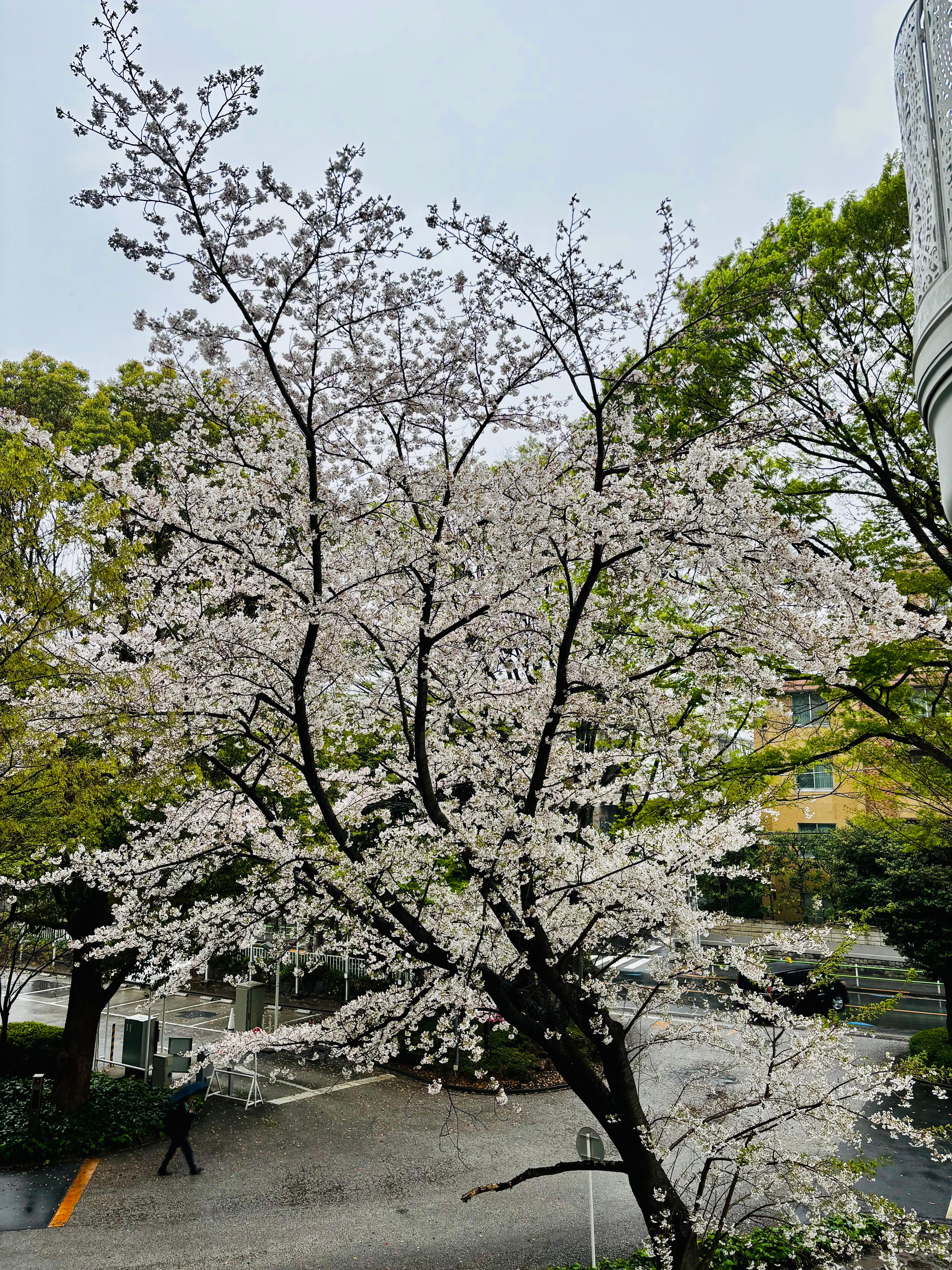 Our balcony looks over their smallish garden so it’s pretty quite. 